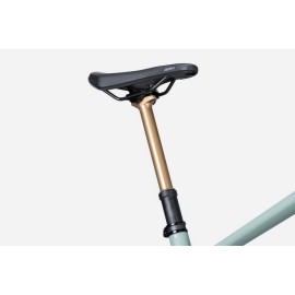 LAPIERRE E-ZESTY AM LTD